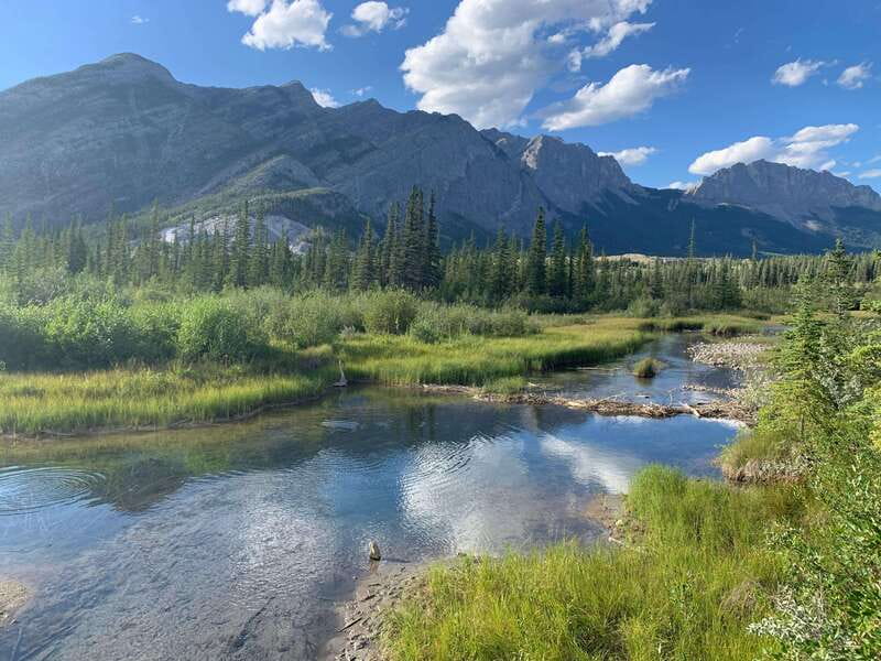 PRIVATE Wilderness and Wildlife Walking Tour - 3hrs - Where you start: Canmore Recreation Centre and how the day begins