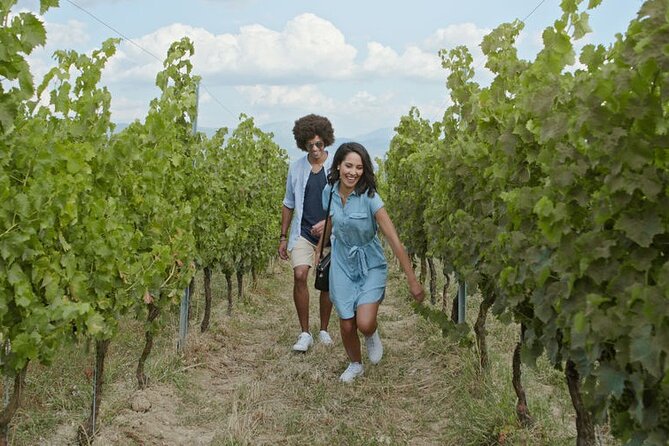 Private Wine Tour in Niagara-on-the-Lake w/ cheese & charcuterie - Value check: what $235.33 gets you in Niagara wine country
