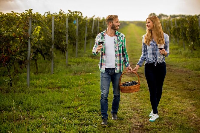 Private Wine Tour in Niagara-on-the-Lake w/ cheese & charcuterie - Wineries you might visit, and what each one is really like