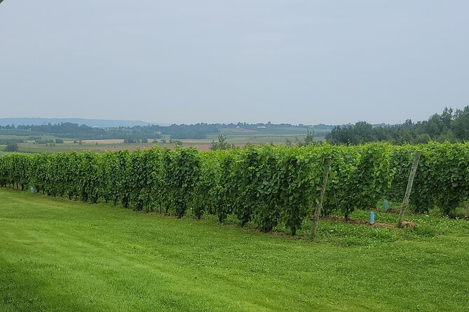 Private Wine Tours from Halifax - Getting Picked Up in Dartmouth and Halifax, With Coffee Included