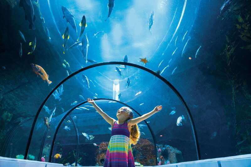 Quebec: Aquarium du Quebec Entry Ticket - Key things you will notice right away