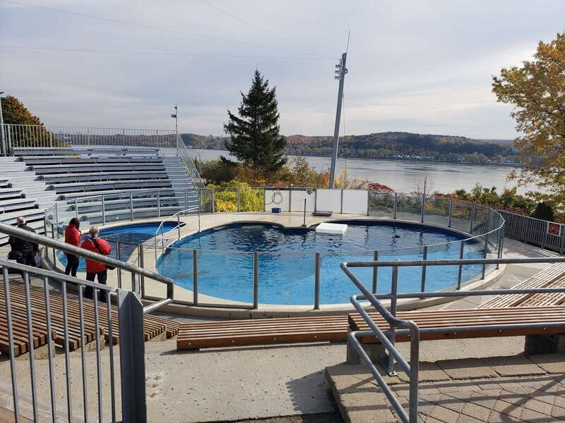 Quebec: Aquarium du Quebec Entry Ticket - Outdoor Arctic World: seals, polar bears, and underwater glass viewing