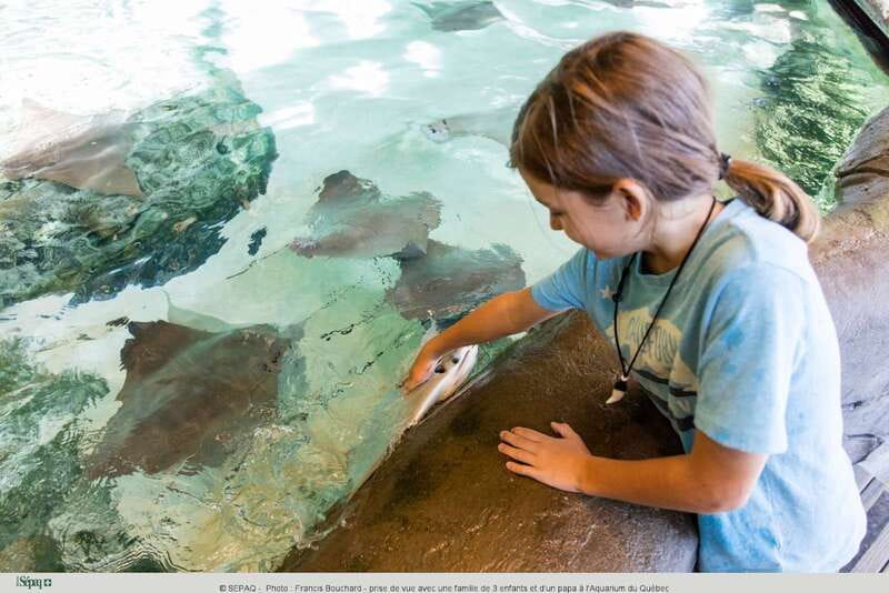 Quebec: Aquarium du Quebec Entry Ticket - Timing and how long you should plan for