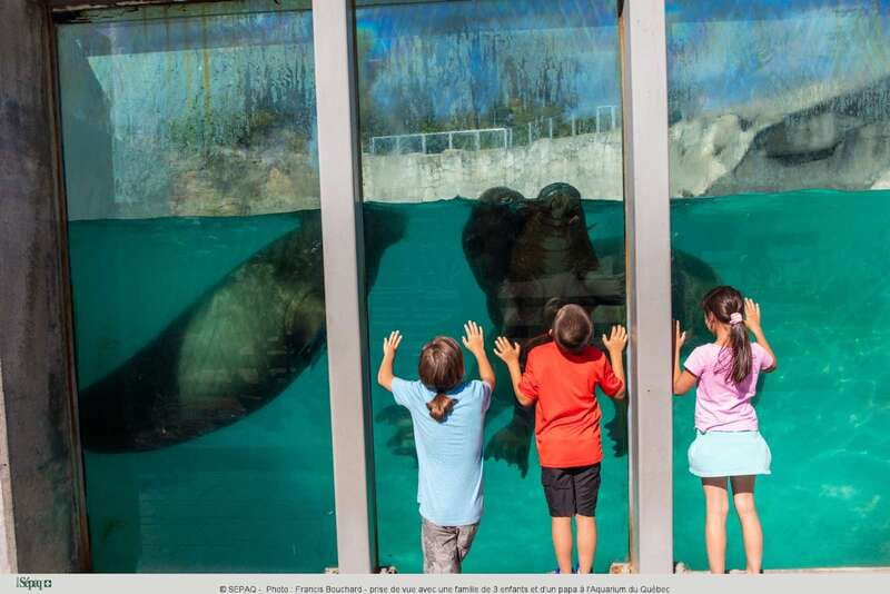 Quebec: Aquarium du Quebec Entry Ticket - Getting to the aquarium: free parking, easy drive, quick shuttle on busy days