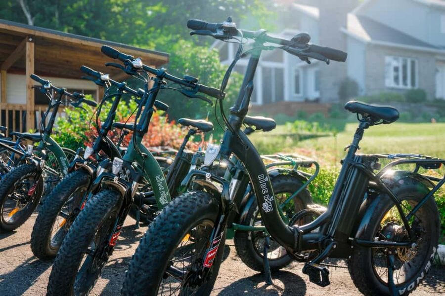Quebec City: Electric Bike Rental on Ile d'Orléans - Who this e-bike rental suits best