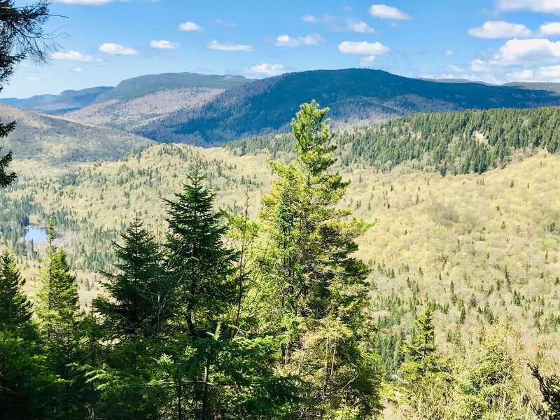 Quebec City: Guided Hike in Jacques-Cartier National Park - Should you book this Jacques-Cartier guided hike?