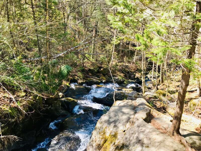 Quebec City: Guided Hike in Jacques-Cartier National Park - FAQ