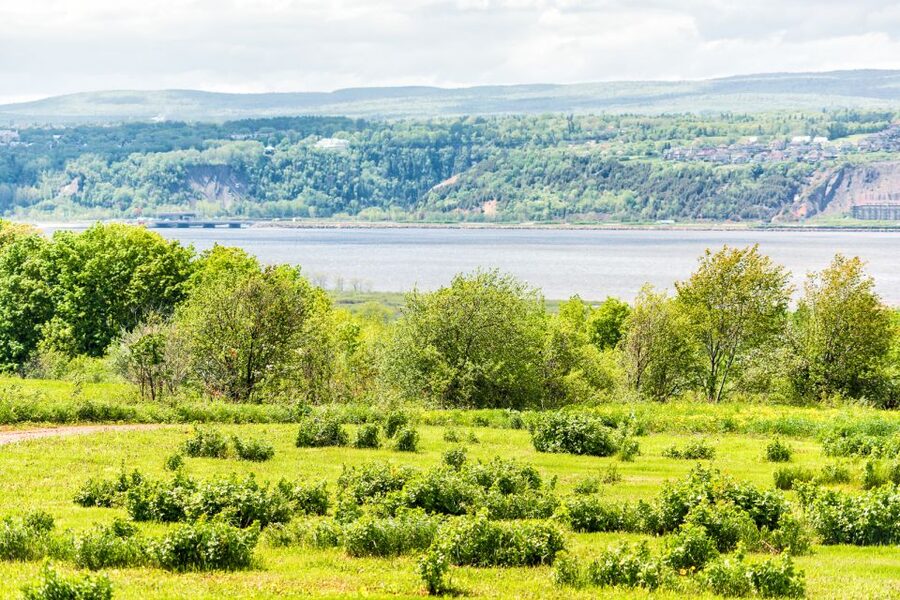 Québec City: Guided Sightseeing River Cruise - Louis Jolliet and the Bilingual Storytelling You Can Actually Use