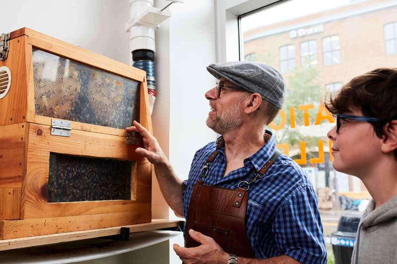 Quebec City: Honey and Distillery Tour with Tasting - Meeting Apikol in Saint-Roch, where the hive and distillery share one roof