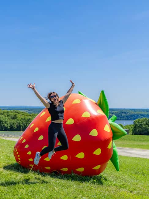 Quebec City: Ile d'Orléans Guided E-Bike Tour with Tastings - Why Île dOrléans Fits a Guided E-Bike Day