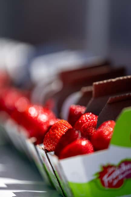Quebec City: Ile d'Orléans Guided E-Bike Tour with Tastings - St. Petronille Chocolate Stop Plus River and Quebec City Views