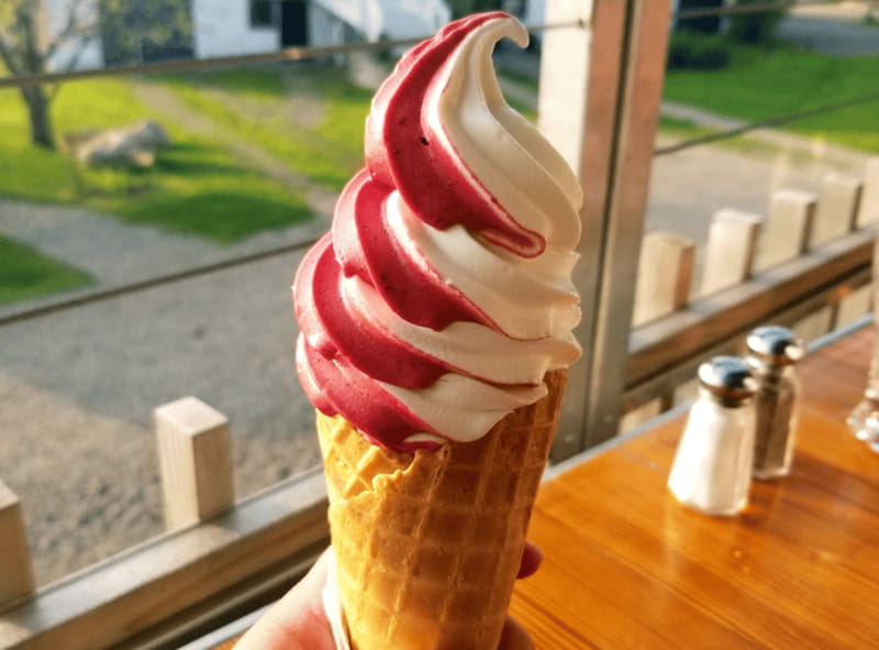 Quebec City: Island of Orléans Taste Trail - 3 hours, four stops, and why the $63 price makes sense