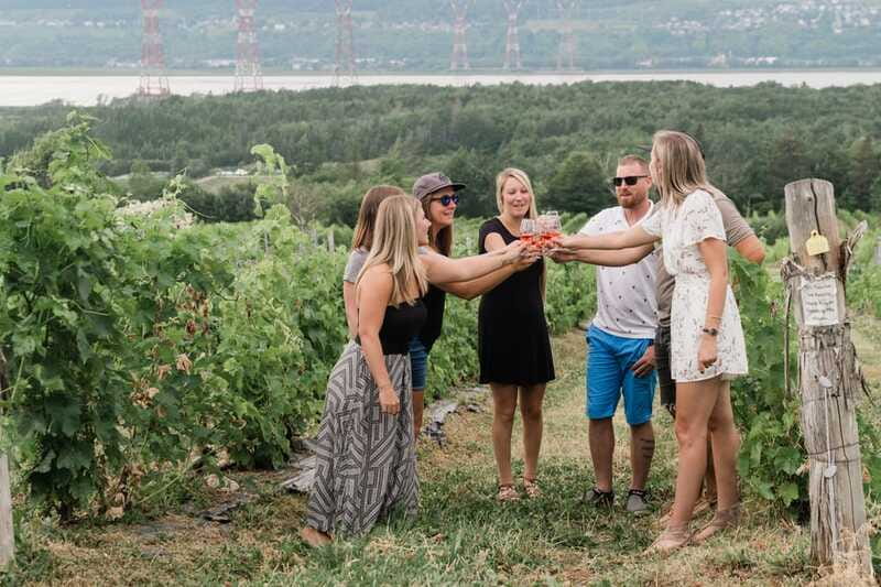 Quebec City: Island of Orleans Wine Tour - Why the guides matter as much as the vineyards