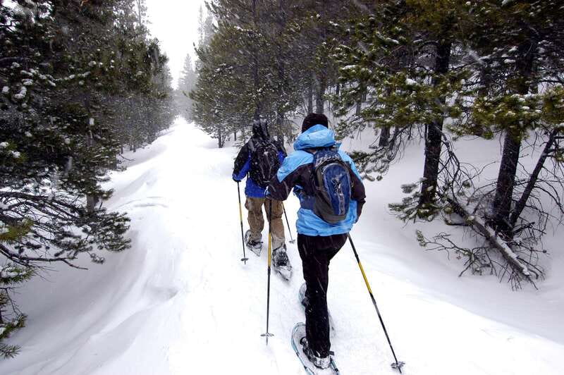 Quebec City: Jacques-Cartier National Park Snowshoeing Tour - Key things that make this snowshoe tour work