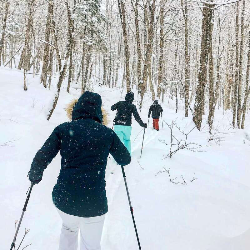 Quebec City: Jacques-Cartier National Park Snowshoeing Tour - Price and value: why $108 feels fair for a full snow day