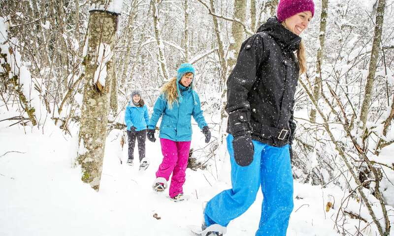 Quebec City: Jacques-Cartier National Park Snowshoeing Tour - Gear handoff and snowshoe technique, no experience required