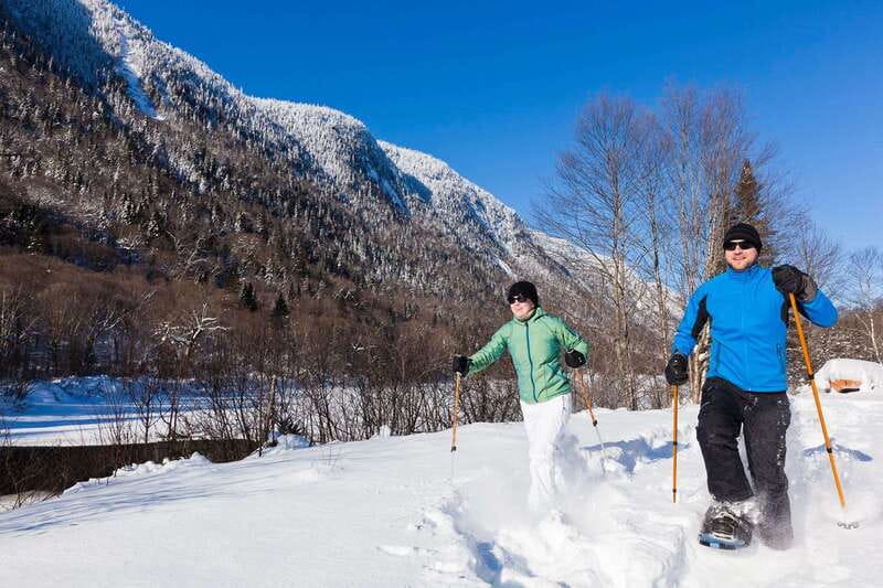Quebec City: Jacques-Cartier National Park Snowshoeing Tour - Wildlife spotting and nature facts that actually help you look