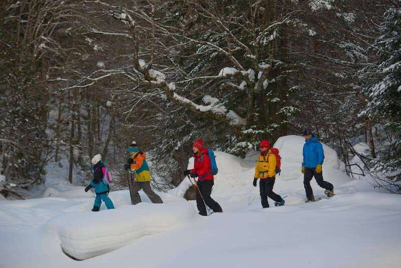 Quebec City: Jacques-Cartier National Park Snowshoeing Tour - Free time inside the park, how to use it without rushing