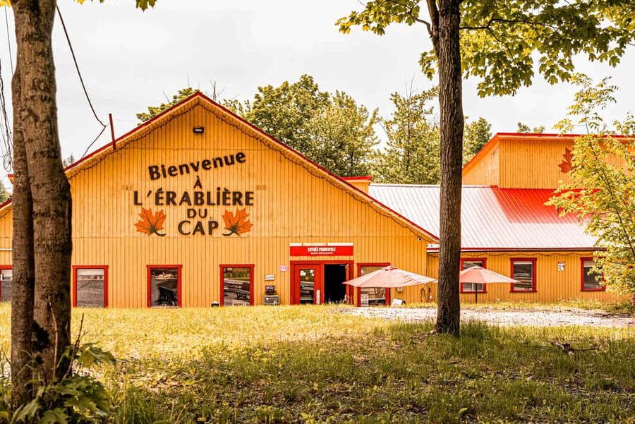 Quebec City (Lévis): self-guided sugar shack tour + meal + maple taffy - The self-guided syrup walk: trails, tubing, and the workshop