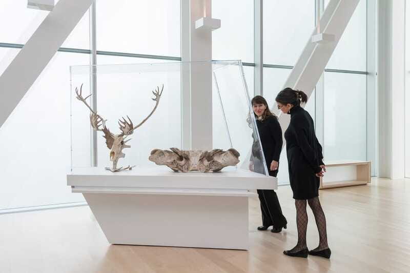 Quebec City: MNBAQ National Fine Arts Museum Entry Ticket - Audio-guides and services that make a self-guided day feel cared for