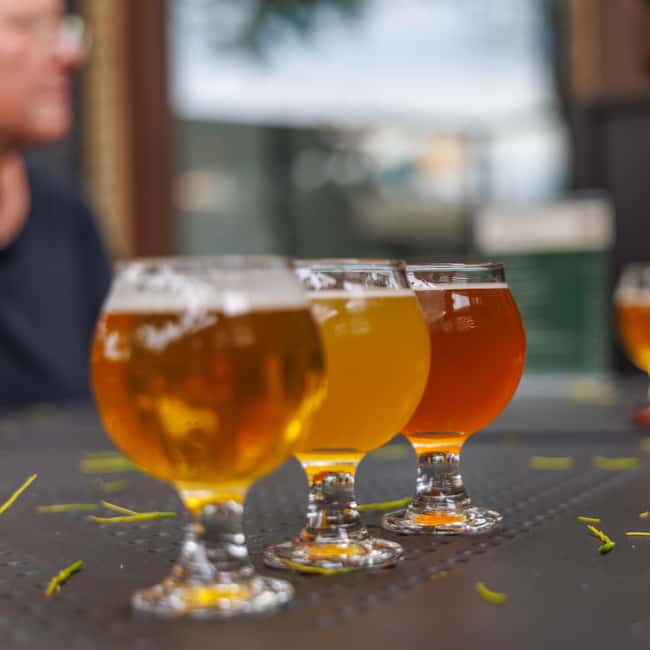 Quebec City: Montmorency Falls and Microbrewery eBike Tour - Key Highlights You Should Know Before You Go