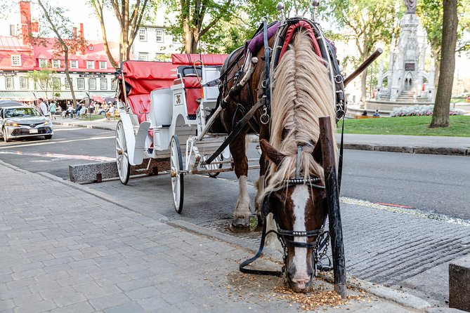 Quebec City Photo Tour - Key Highlights You Will Notice Right Away