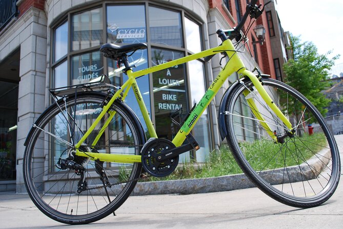Quebec City Regular Bike Rentals - Hybrid vs Road Bike: Choosing comfort or speed the smart way