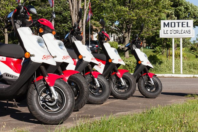 Quebec City - Scooter Rental on Ile d'Orléans - Food and local flavor: farm products tasting and fromagerie breaks