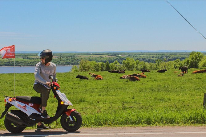 Quebec City - Scooter Rental on Ile d'Orléans - Village time: looping past all six villages without feeling rushed