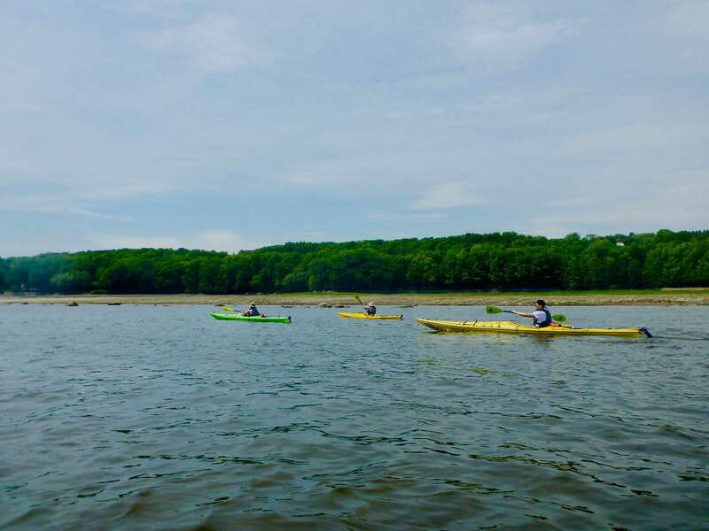 Quebec City: Sea-Kayaking Tour in Orleans Island - The 3-hour paddle: coastal cruising with built-in photo breaks