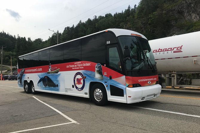 Québec City: Whale Watching Tour with Bus Transportation - Price and Value: What $191.39 Gets You (and What It Doesn’t)