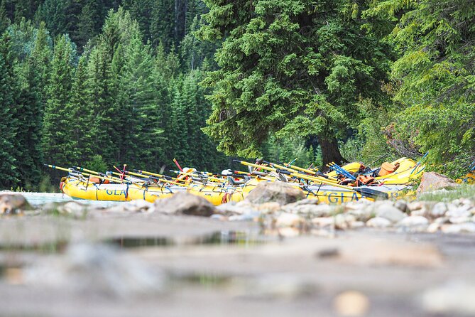 Rafting Adventure on the Kicking Horse River - Kicking Horse River rapids, from class 1 to bigger class III-IV days