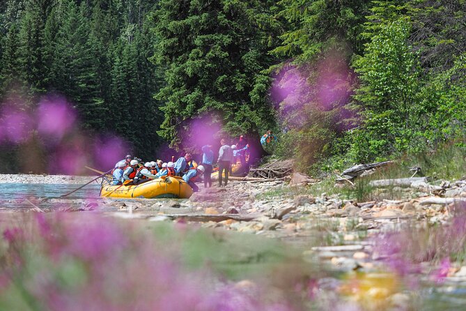 Rafting Adventure on the Kicking Horse River - Small-group rafting: why a max of 8 travelers matters