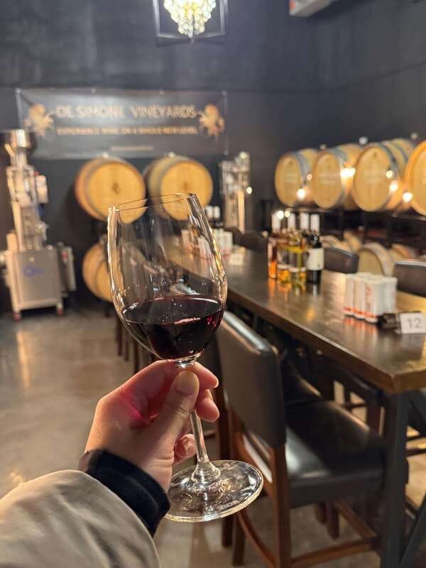 Relaxing Lunch & Wine Tour through Niagara's Wine Country - First tasting stop: a 45-minute sampler you can actually enjoy