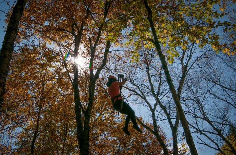 River Ziplines - Nature Tours - Key takeaways