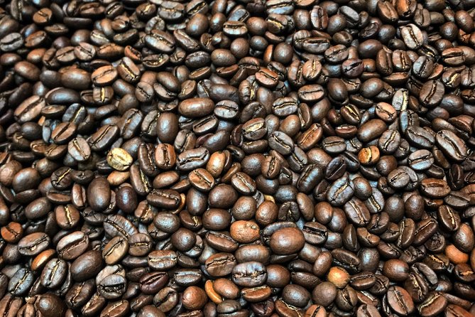 Roasting Experience at 14th Coffee Co - Property tour: vintage 1950s truck, Airstream, barn, and farmhouse