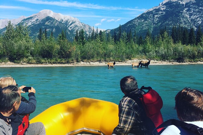 Rocky mountain - VIP Experience - Private Boat - Gear That Makes the Difference: Jackets and Floatation Devices Included