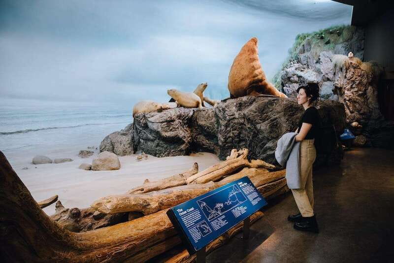 Royal B.C. Museum in Victoria: Full-Day Admission Ticket - Key points before you go