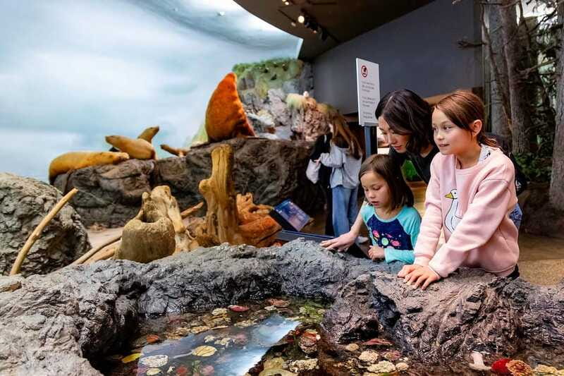 Royal B.C. Museum in Victoria: Full-Day Admission Ticket - Jonathan Hunt House and Our Living Languages: Indigenous history with real weight