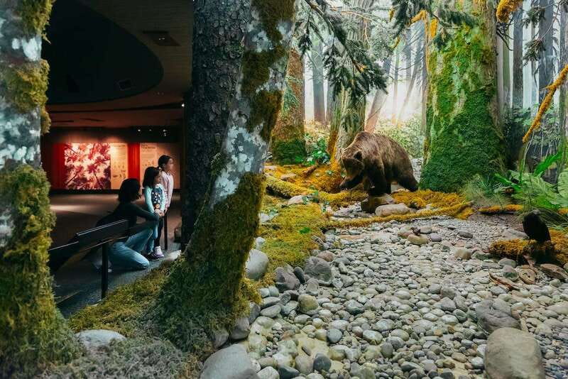 Royal B.C. Museum in Victoria: Full-Day Admission Ticket - Getting there from Swartz Bay and Victoria Airport