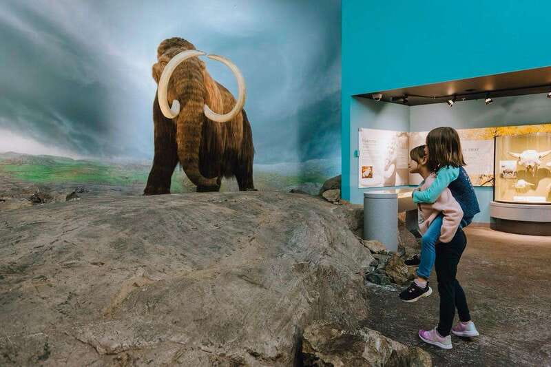 Royal B.C. Museum in Victoria: Full-Day Admission Ticket - Global Threads and Beyond the Beat: the museum’s headline special exhibits