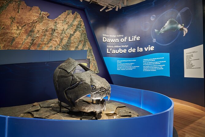 Royal Ontario Museum Admission - Your 3 to 4 Hours: How to Actually Use Time in the ROM