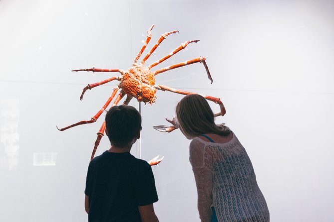 Royal Ontario Museum Admission - Stop 1: Royal Ontario Museum Highlights You Will Feel Right Away