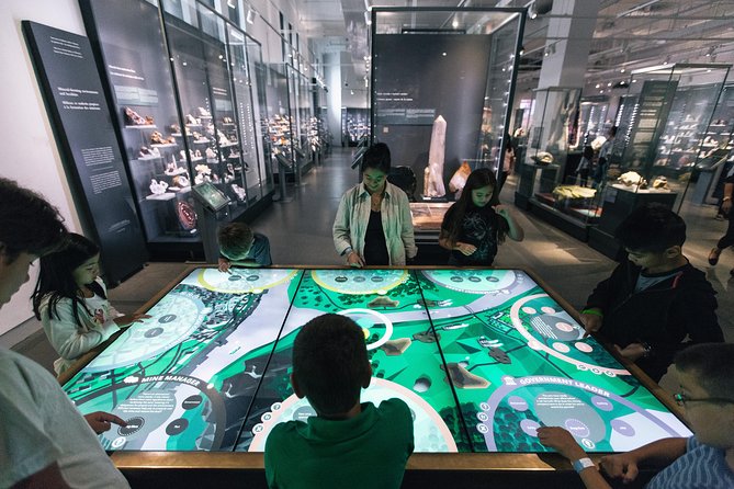 Royal Ontario Museum Admission - Special Temporary Exhibitions: When the Upgrade Is Worth It