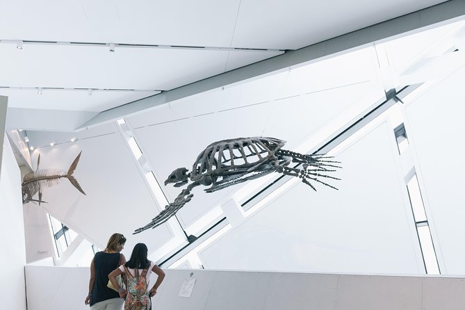 Royal Ontario Museum Admission - Breaks, Food, and ROM Boutique for a Real Souvenir
