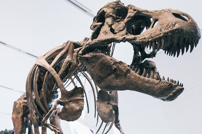 Royal Ontario Museum Admission - Getting In Fast: Mobile Ticket, Bag Checks, and Transit-Friendly Location