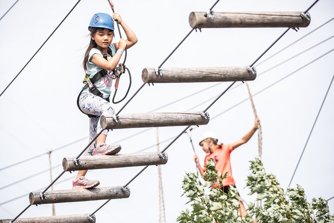 Sailing Aerial Adventure - Price in context: is $48.24 per person good value?
