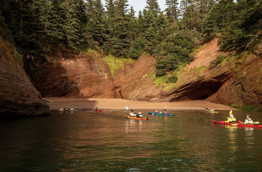 Saint John: Guided Kayaking Tour of St. Martins Sea Caves - Wildlife, Marine Life, and the Quiet Art of Not Rushing
