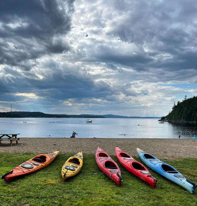 Saint John River: River Relics Kayak Tour - Fossils You Can Actually See: Pre-Cambrian Stops on the Shore