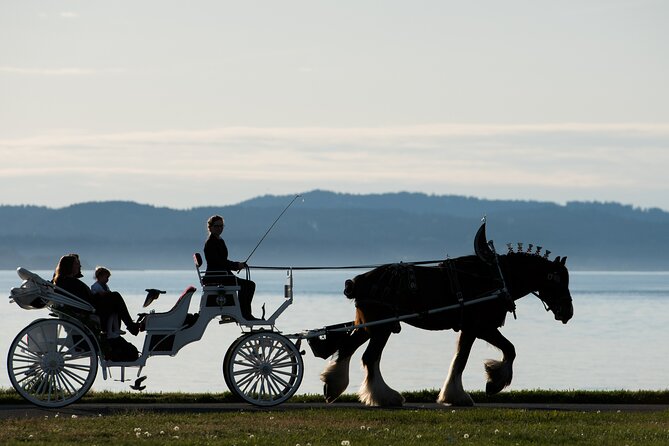 Salish Sea Horse-Drawn Carriage Tour of Victoria - A 45-minute horse-drawn breather in James Bay